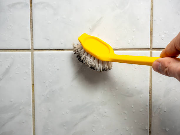 Best Mold Damage Repair  in Flomaton, AL